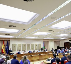 Vista general de la Sala Constitucional durante el acto